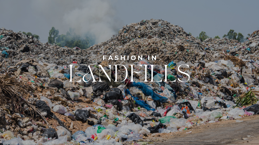 FASHION IN LANDFILLS