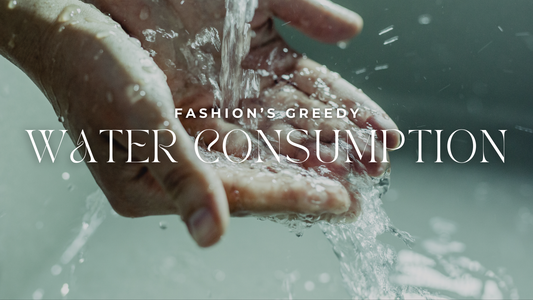 FASHIONS GREEDY WATER CONSUMPTION